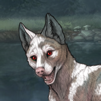 Piebald uneven Headshot