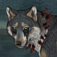 Wolf Headshot