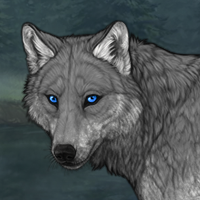Wolf Headshot