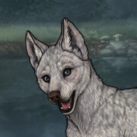 New Runt Puppy Headshot