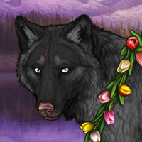 Wolf Headshot