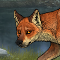 Fox Male Headshot