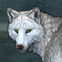 Wolf Headshot