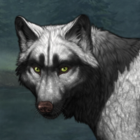 Wolf Headshot