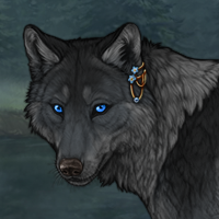 Wolf Headshot