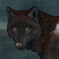 Wolf Headshot