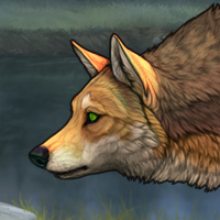 Wolf Headshot