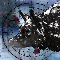Wolf Headshot