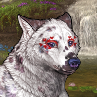 Wolf Headshot