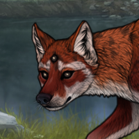 FoxPelt Headshot