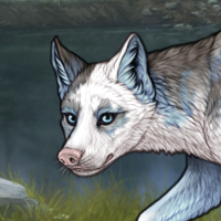 Female Piebald: Torn Headshot