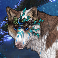 Dark Fawn Blue Headshot