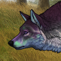 Wolf Headshot