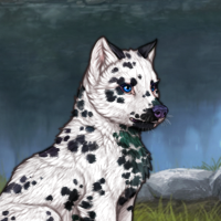 NIB G3 Dalmatian MEL Headshot