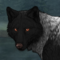 Wolf Headshot