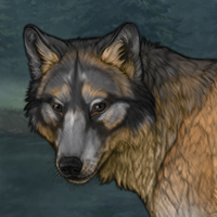 Extremely Low Fert Wolf Headshot