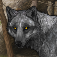 Steele Headshot