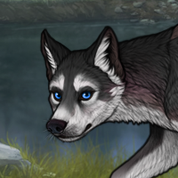 Aleu Headshot