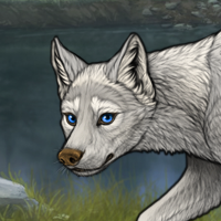 Silverfoot Headshot