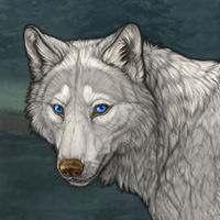 Silverfoot Headshot