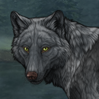 Wolf Headshot