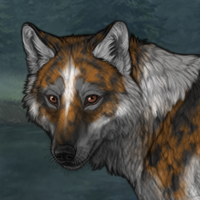 Foxshade Headshot