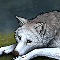 Wolf Headshot