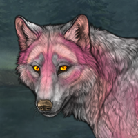 Pink Marble Headshot