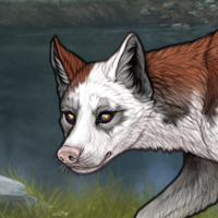 Piebald! Headshot