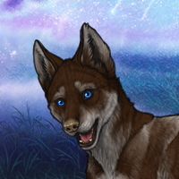 Shep Earthborn Headshot