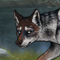 g3 Husky Blueschist Headshot