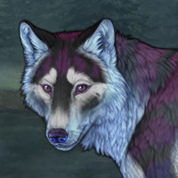 Darkmoon Winterwolf Headshot