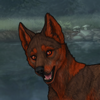 rc Headshot