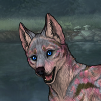 Blue Base Male Pup Headshot