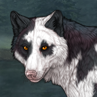 Ajei - Piebald Headshot