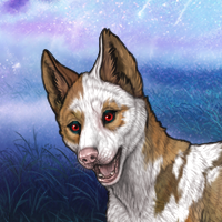 Piebald Pup Headshot