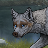 Greypelt Headshot