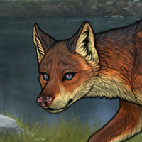 K Winged Fox Hurricane Headshot