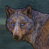 2. Mountainrock Headshot