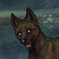 Moss Smudge pup Male Headshot