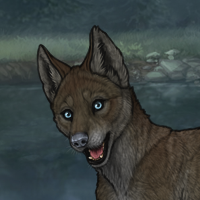 Skarn Pup Headshot