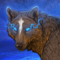Wolf Headshot