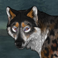 Wolf Headshot
