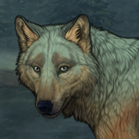 Moldy Wolf Headshot