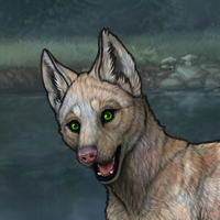 Enclave Pup Headshot