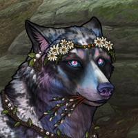Wolf Headshot