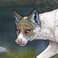 Khaki Piebald Headshot