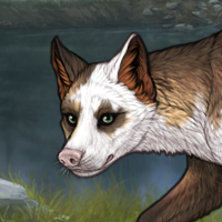 Piebald R&C Headshot