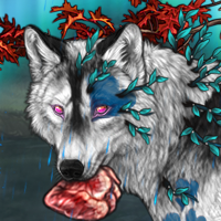 Wolf Headshot
