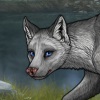 K: silver, wing, opossum Headshot